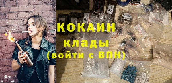 дмт Алзамай