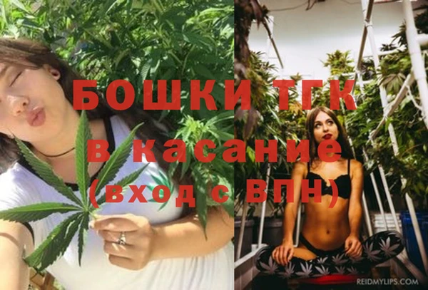 дмт Алзамай