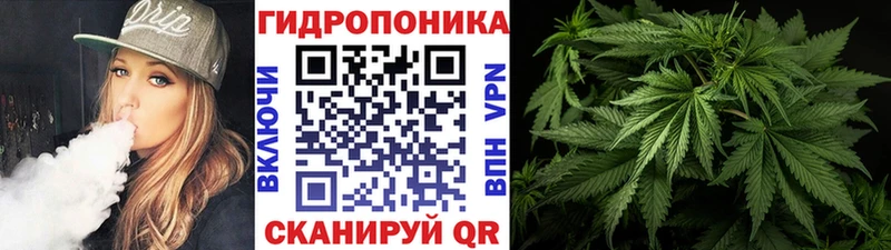 OMG как зайти Чекалин Канабис план купить закладку